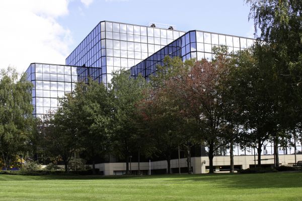 Cost of Commercial Tree Trimming in Naples