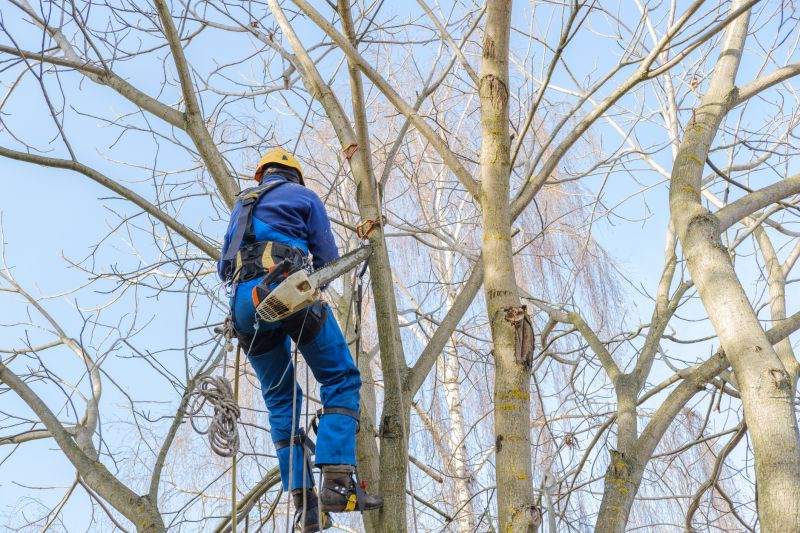Tree Canopy Thinning detail